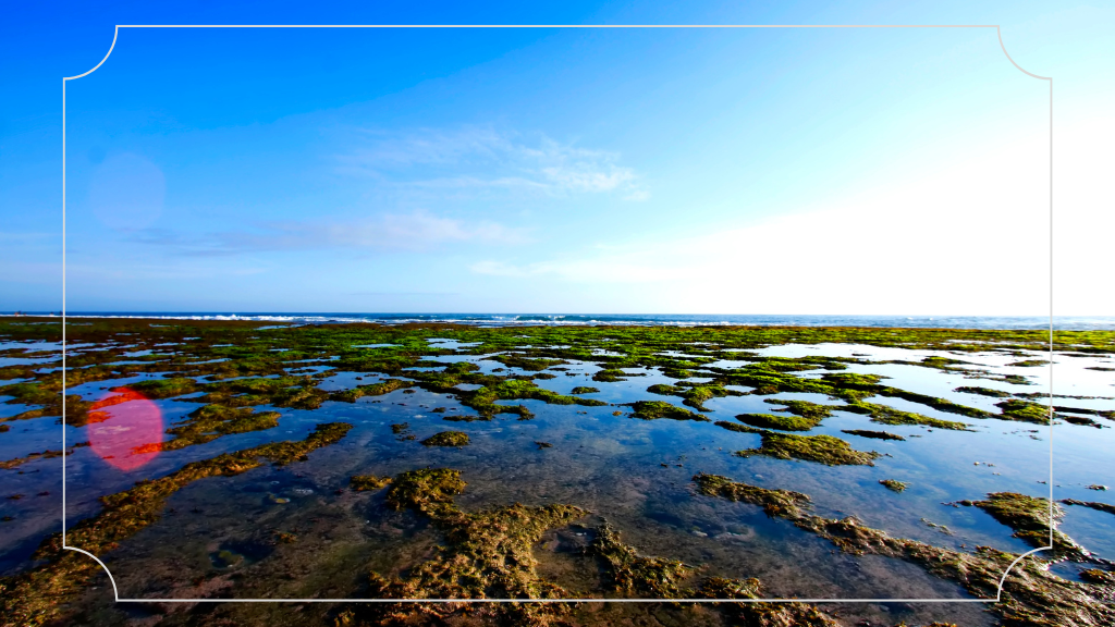 Pantai Ngrumput Gunung Kidul