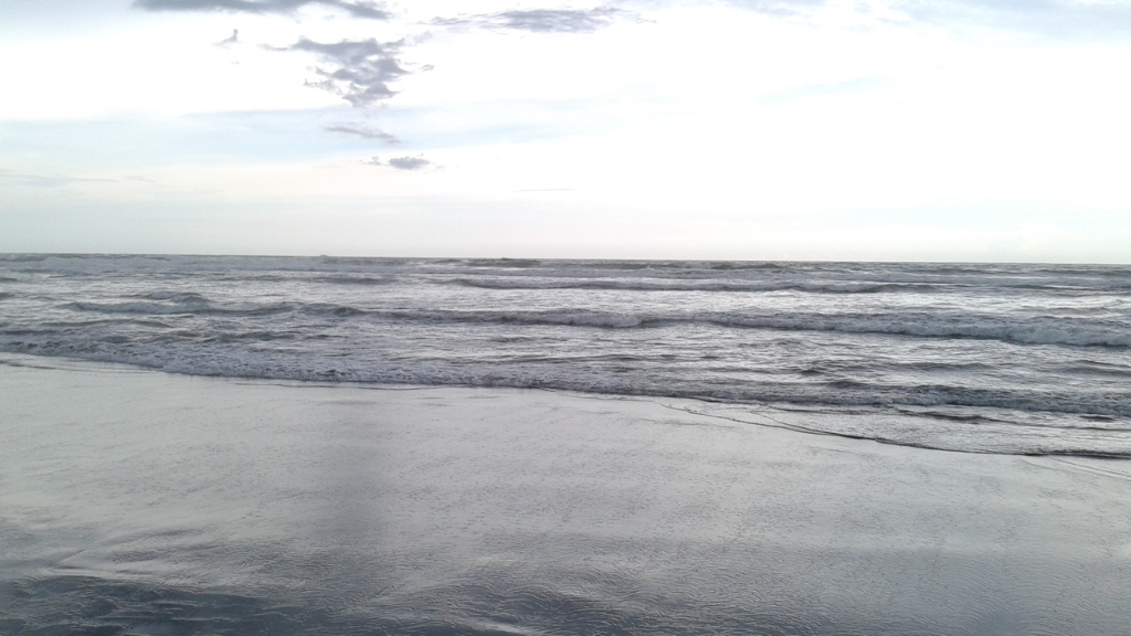 22 Tempat Wisata di Jawa Timur yang Tidak Boleh Dilewatkan! 7 Tempat Wisata di Jawa Timur Pantai Papuma Jember