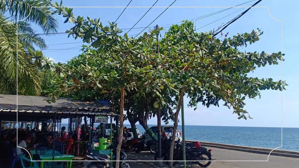 16 Tempat Wisata di Singaraja Bali yang Paling Populer untuk Liburan Luar Biasa 13 Pantai Penimbangan