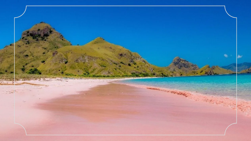 10 Tempat Wisata di NTT yang Membuat Kamu Terpesona 2 Pantai Pink
