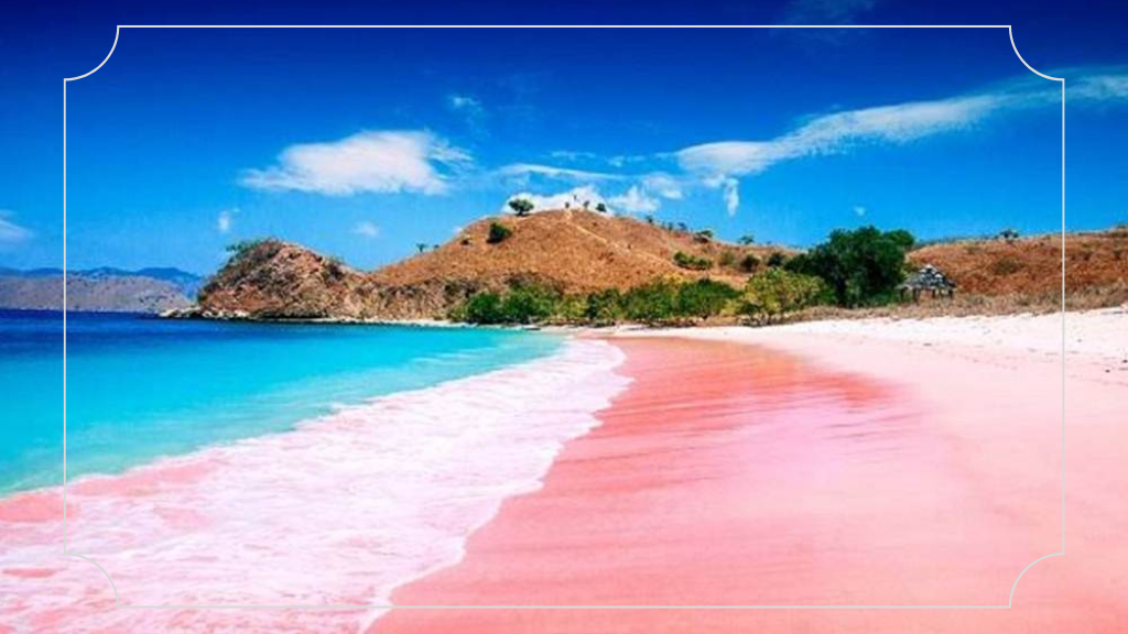 17 Tempat Liburan di Lombok yang Paling Menarik 5 Pantai Pink