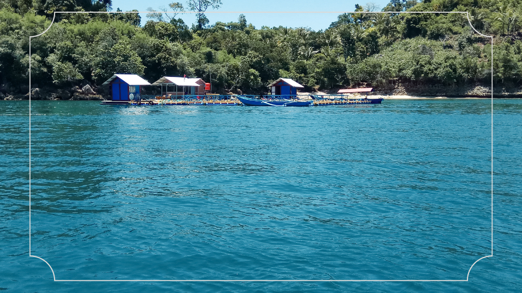 Wisata Terbaik di Jawa Timur: Keindahan Alam yang Tidak Terlupakan 4 Pantai Pulau Sempu