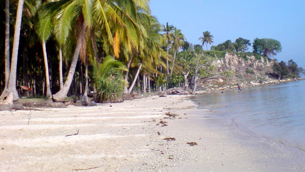 22 Tempat Wisata di Jawa Timur yang Tidak Boleh Dilewatkan! 23 Pantai Sine Tulungagung