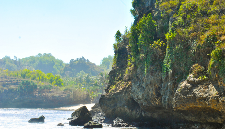 Pantai Srau Keindahan Pantai Tersembunyi di Pacitan