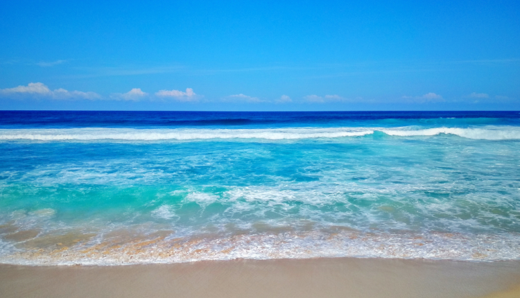 Pantai Tambak Rejo Blitar