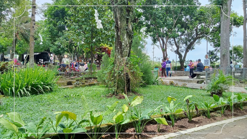 Pemandangan Alam yang Indah