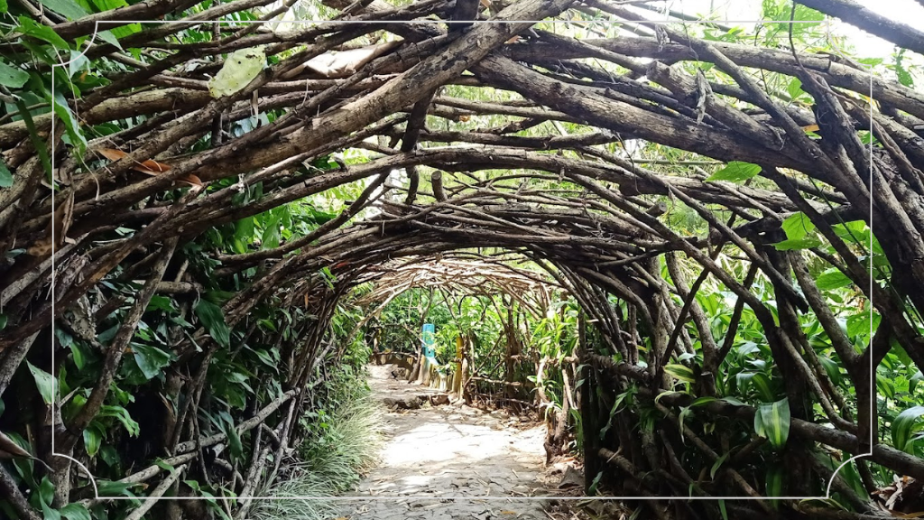 Air Terjun Kakek Bodo - Destinasi Wisata Alam yang Memukau 7 Pemandangan di Sepanjang Perjalanan