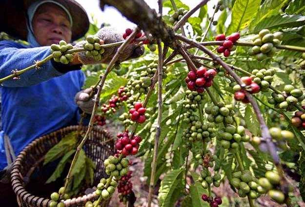 Obyek wisata di Situbondo terbaru