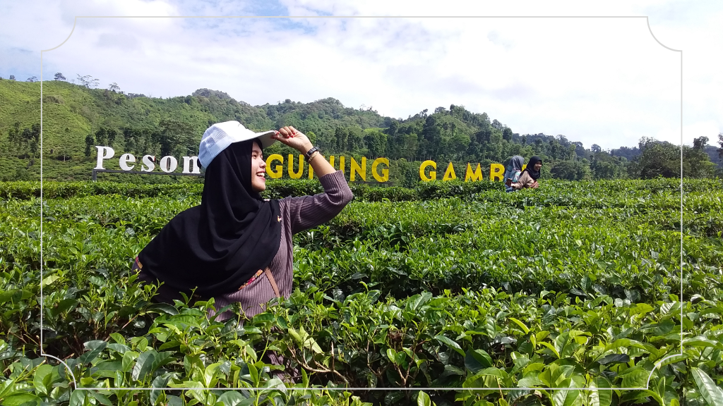 Perkebunan Teh Gunung Gambir