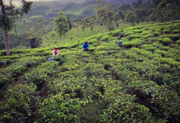 18 Tempat Wisata Di Ngawi Terbaru 8 tempat liburan di Ngawi