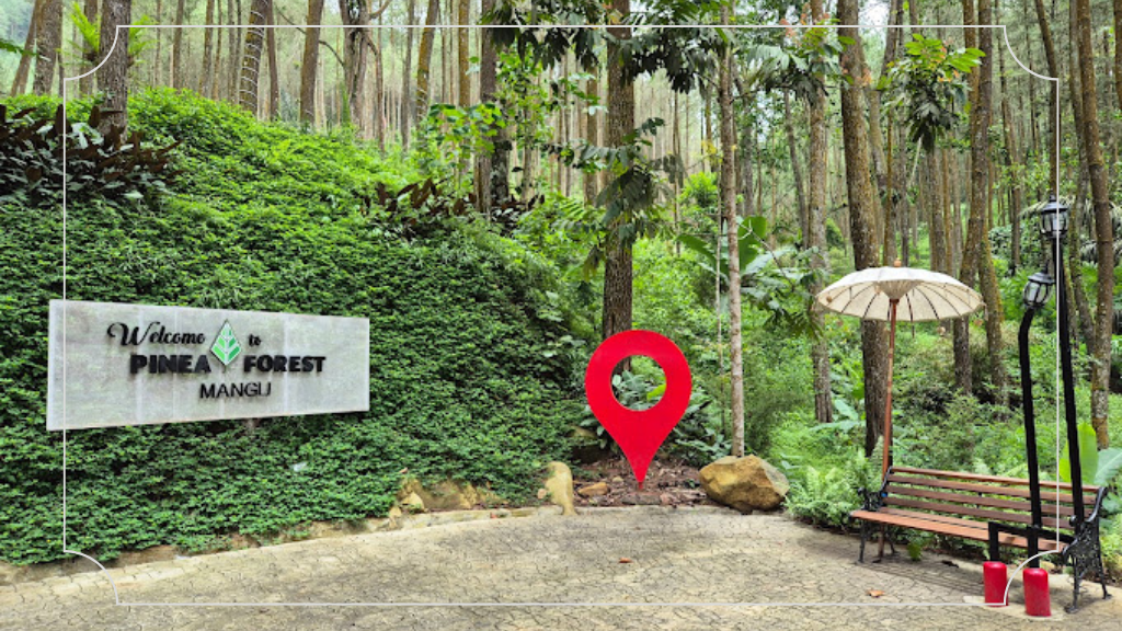 Tempat Wisata di Magelang Terbaru: Penjelajahan Baru yang Harus Kamu Coba 10 Pinea Forest Mangli