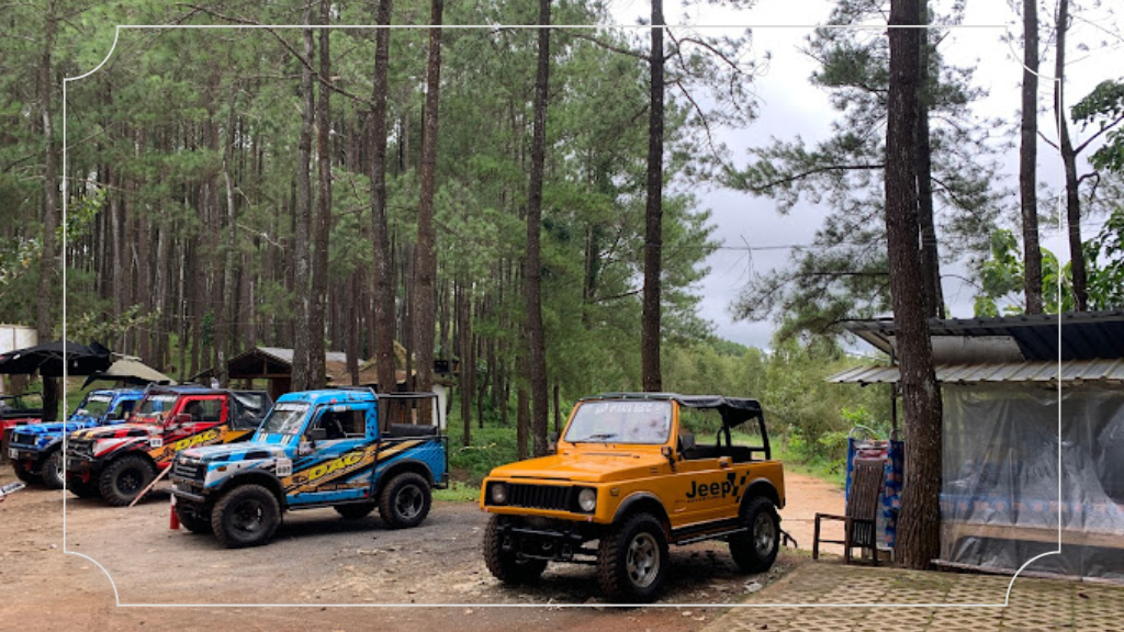 Puncak Pinus Becici Yogyakarta