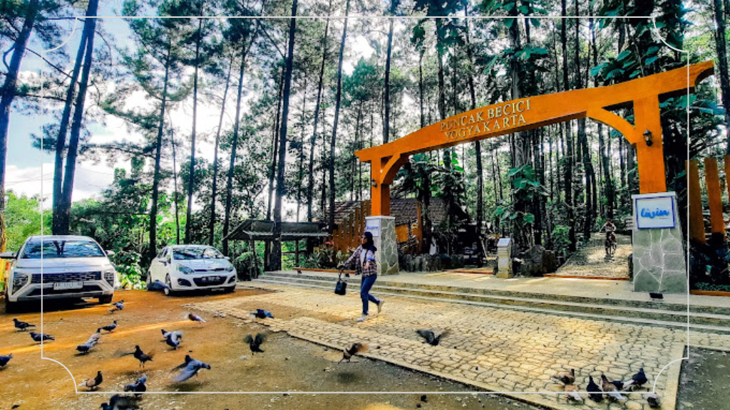 21 Wisata Alam di Jogja, Eksplorasi Keindahan Alami Yogyakarta 20 Puncak Pinus Becici