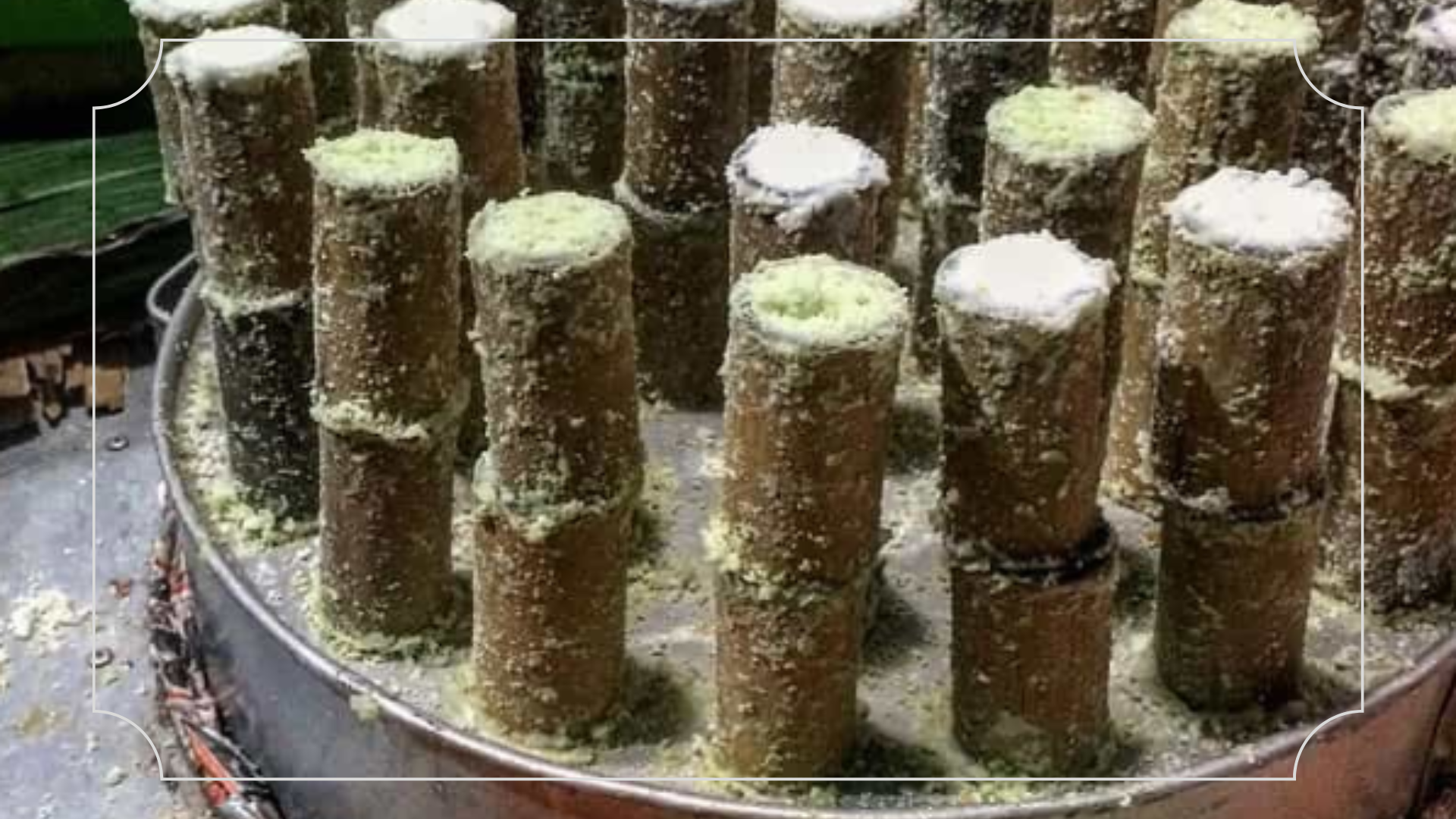 22 Oleh Oleh Khas Malang yang Wajib Dibeli 12 Puthu Lanang