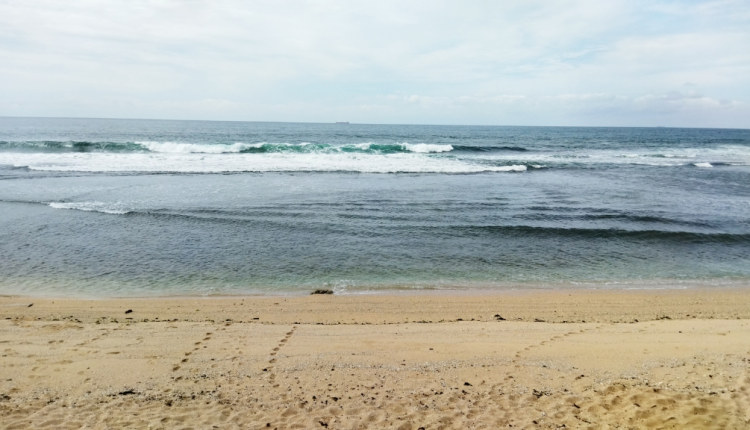 Rekomendasi Pantai Jogja Terbaik yang Eksotis dan Menakjubkan untuk Dikunjungi