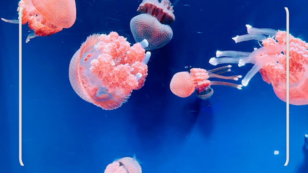 Rekomendasi Tempat Wisata Dekat Central Park yang Wajib Dikunjungi