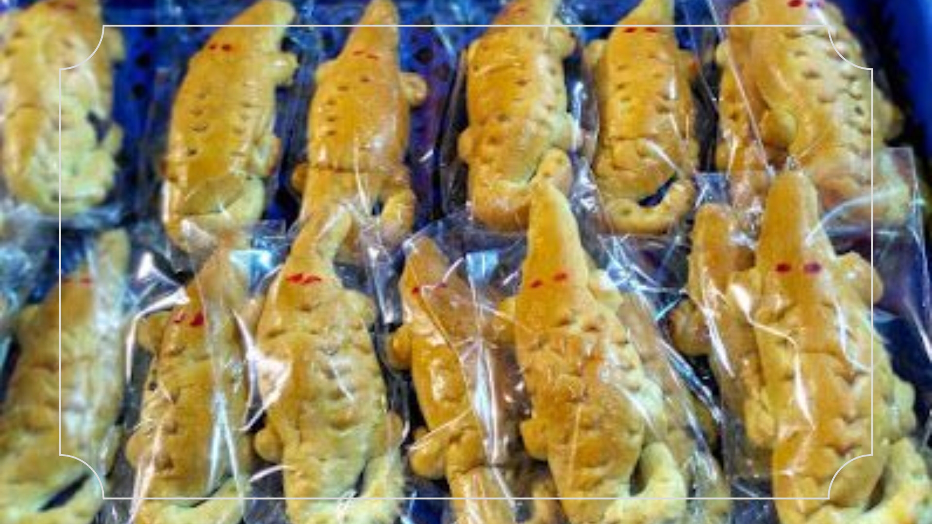 Oleh-Oleh Khas Jakarta Roti Buaya