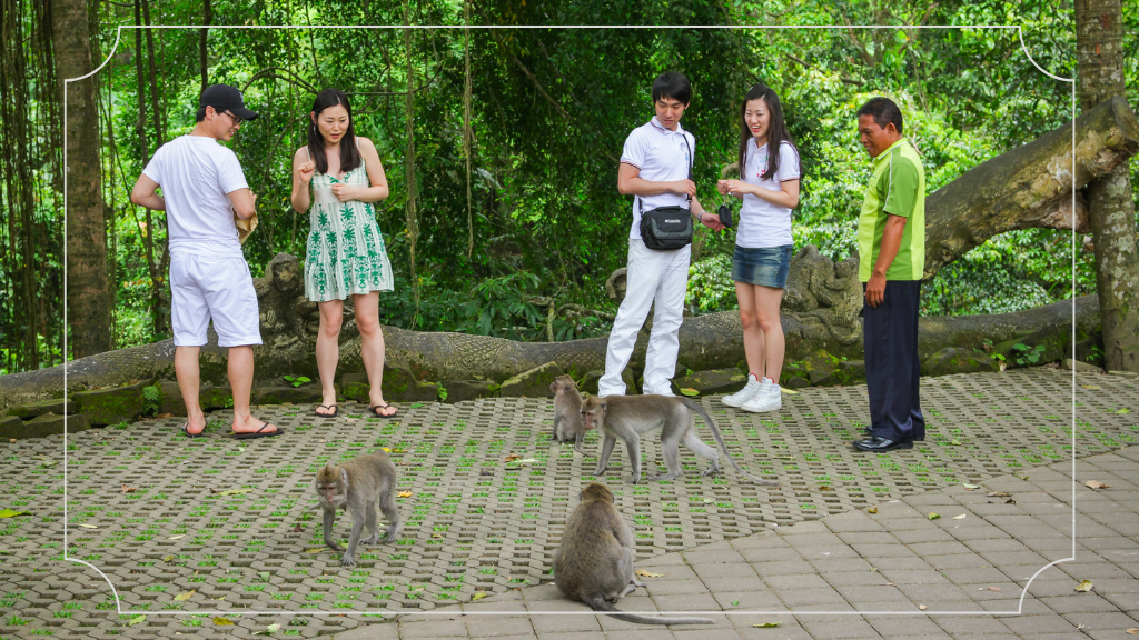 12 Tempat Instagramable di Ubud yang Wajib Dikunjungi 4 Sacred Monkey Forest Sanctuary