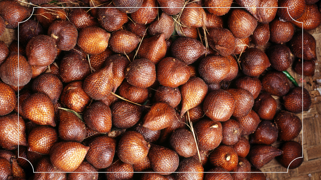 Rekomendasi Oleh-Oleh Khas Bali yang Tidak Boleh Dilewatkan 10 Salak Bali