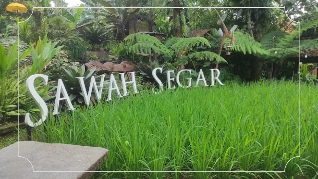 Sawah Segar
