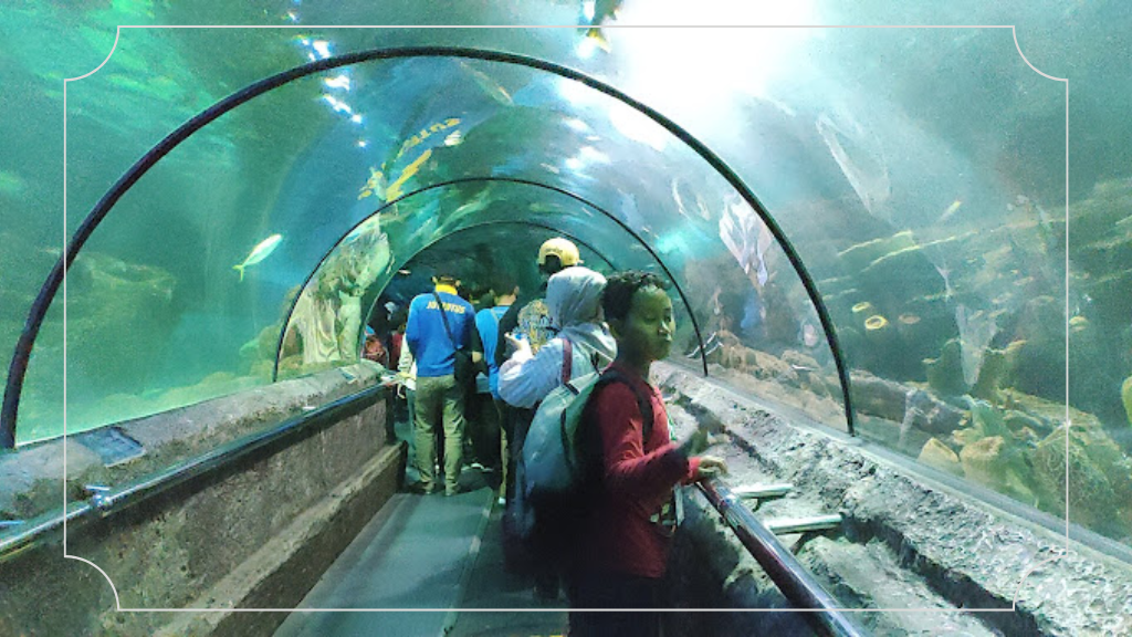 12 Tempat Indah di Jakarta: Menikmati Pesona Ibu Kota Indonesia 8 Sea World Indonesia