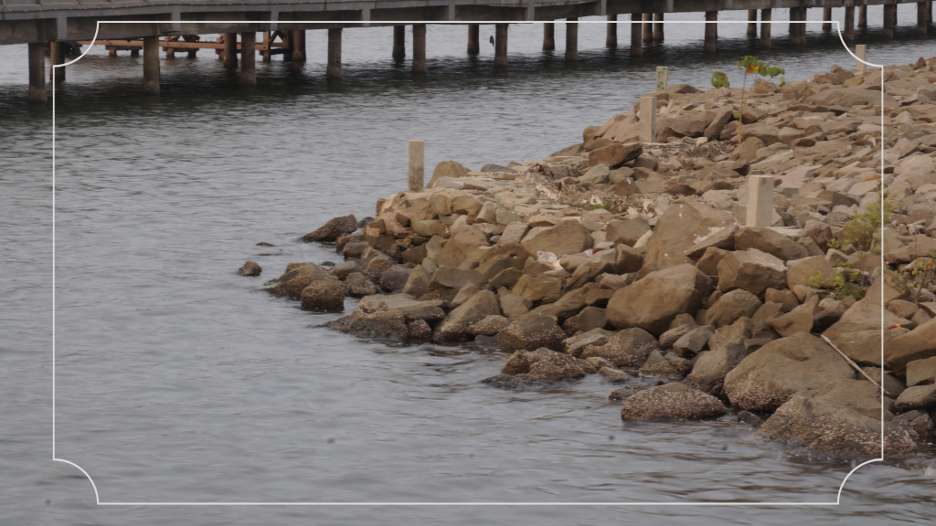 Sejarah Pantai Ancol Jakarta