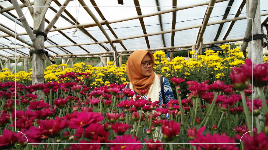 Setiya Aji Flower Farm