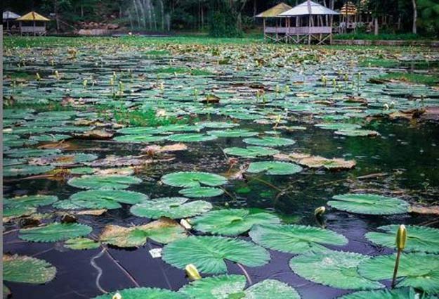 20 Tempat Wisata di Majalengka Terbaru 14 Tempat Foto di Majalengka