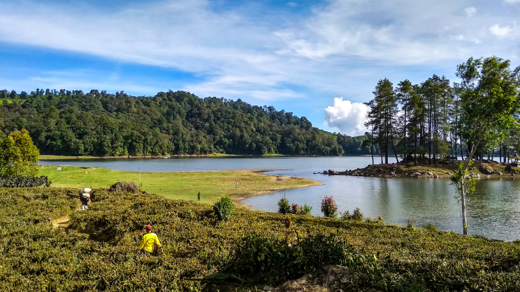 Tempat Wisata di Ciwidey: Surga Wisata Alam yang Perlu Kamu Kunjungi 4 Situ Patenggang Tempat Wisata di Ciwidey
