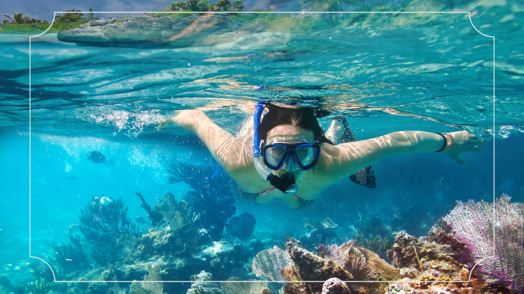 Snorkeling dan Scuba Diving