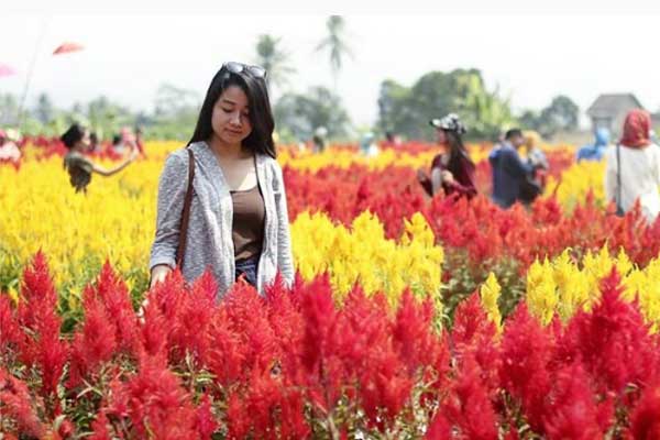 Spot Wisata Taman Ramadanu