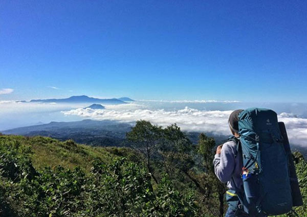 Spot perkebunan luas puncak B29