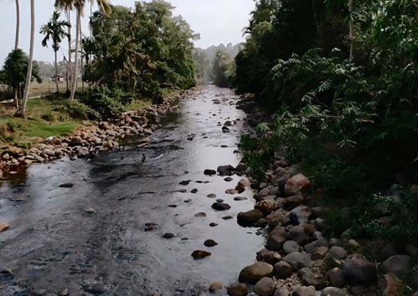 Spot sungai fantastis cagar alam donoloyo