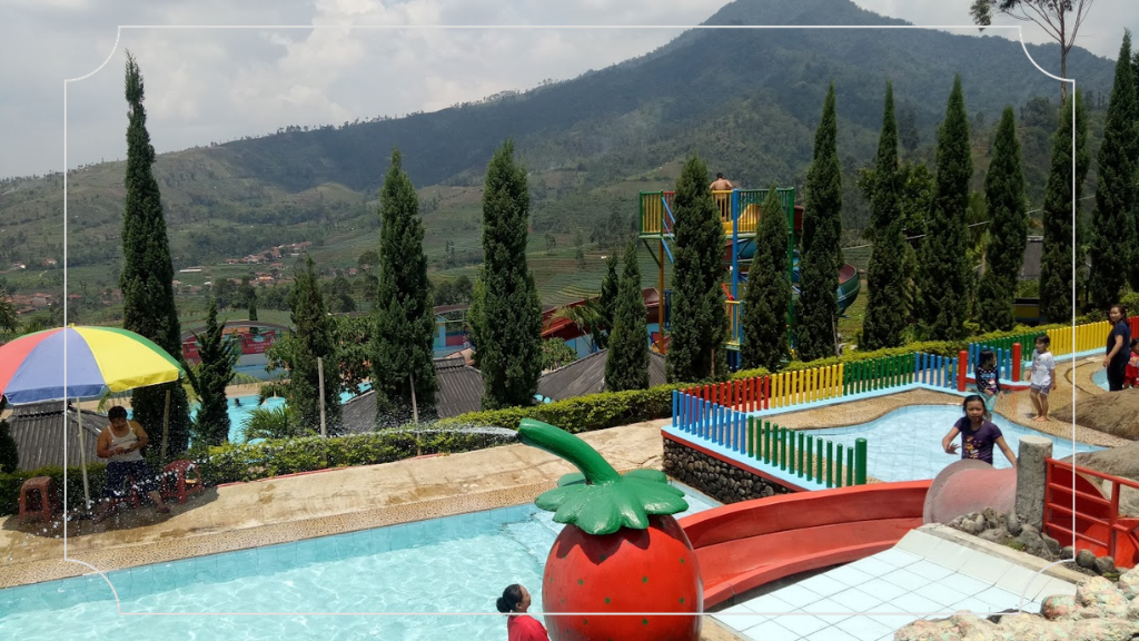 Taman AW Strawberry