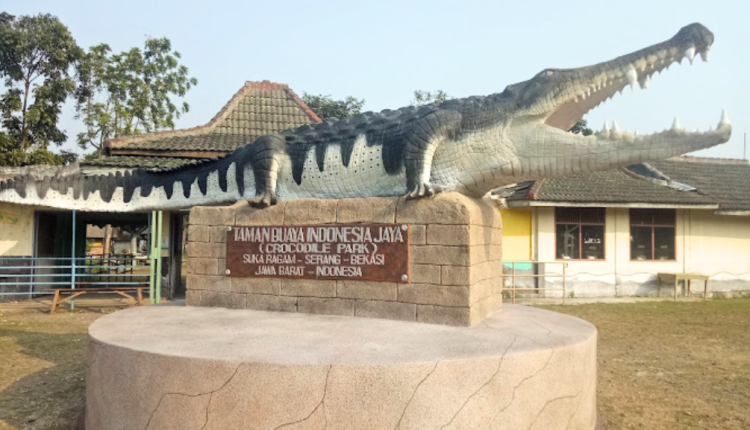 Taman Buaya Indonesia Jaya