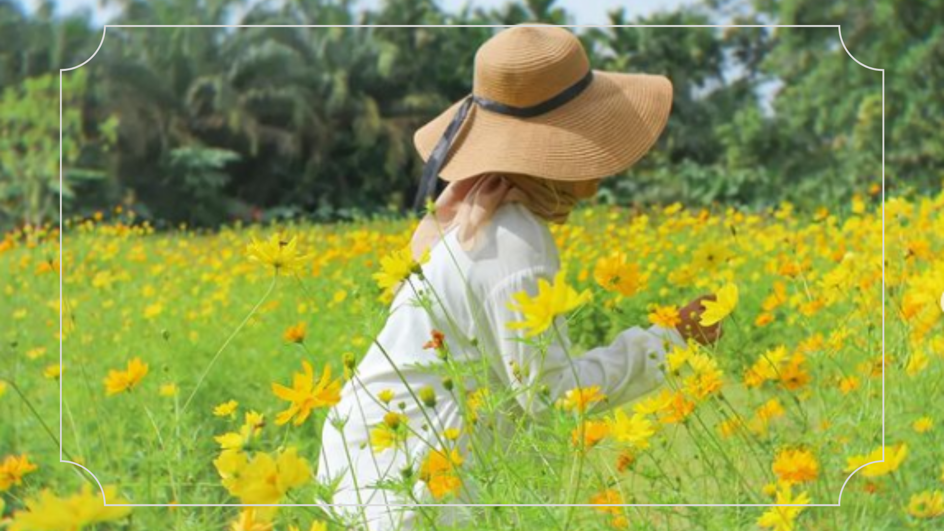 Tempat wisata di Pekanbaru Taman Bunga Impian Okura
