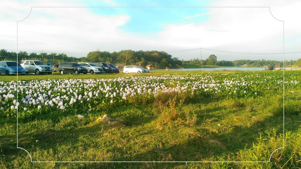 Pesona Pantai Cinta Teluk Jering Tambang: Destinasi Impian Para Keluarga 7 Taman Bunga dan Hutan di Pantai Cinta Teluk Jering Tambang