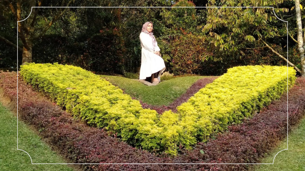 The Le Hu Garden: Pusat Keindahan Alam yang Harus Dikunjungi 3 Taman Bunga