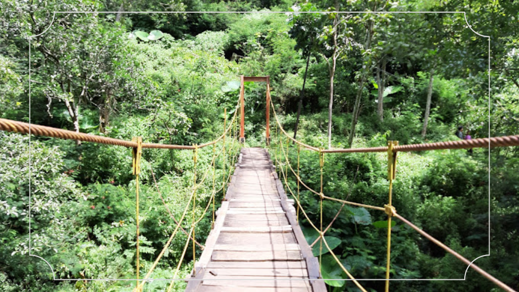 13 Tempat Wisata Lembang Murah dan Menarik 4 Taman Hutan Raya Ir. H. Djuanda