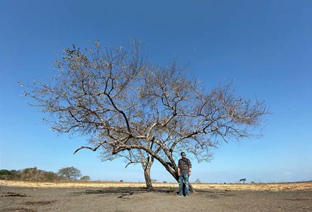 Wisata di Situbondo dan sekitarnya