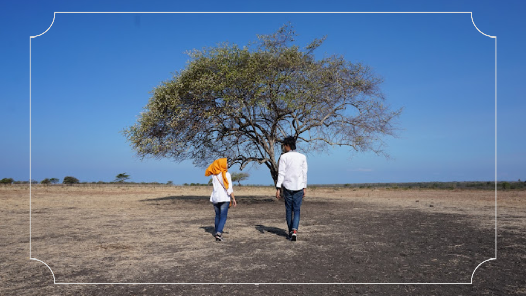 20 Destinasi Wisata Jawa Timur yang Populer dan Tempat Tersembunyi 20 Taman Nasional Baluran Situbondo