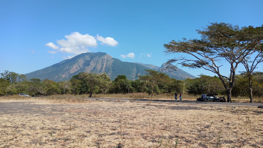22 Tempat Wisata di Jawa Timur yang Tidak Boleh Dilewatkan! 20 Taman Nasional Baluran Situbondo