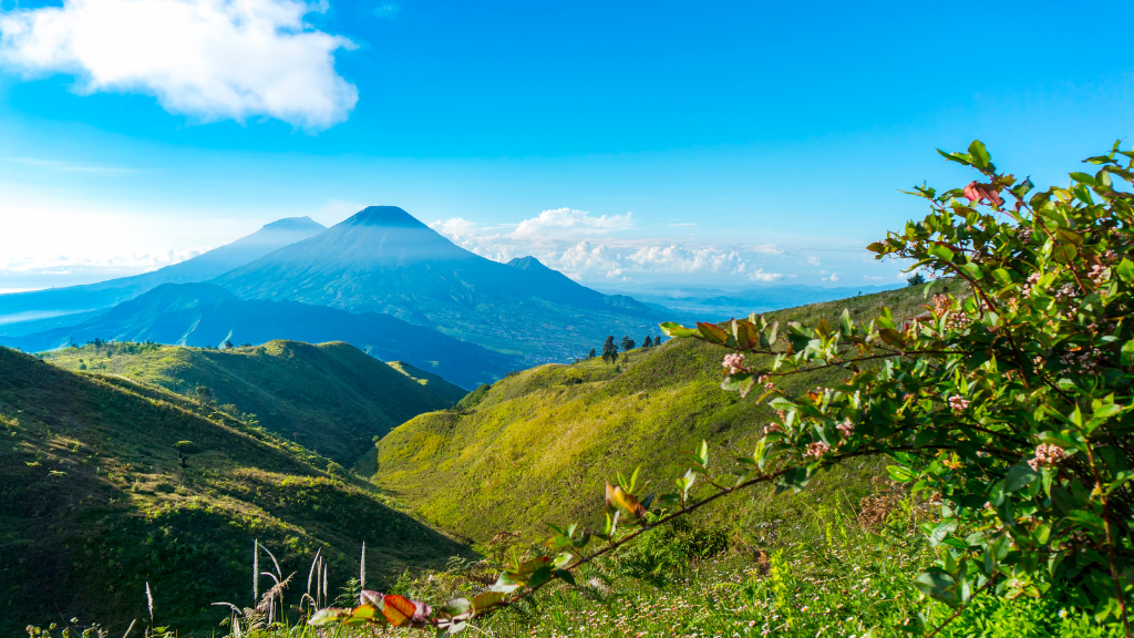Taman Nasional Gunung Prau