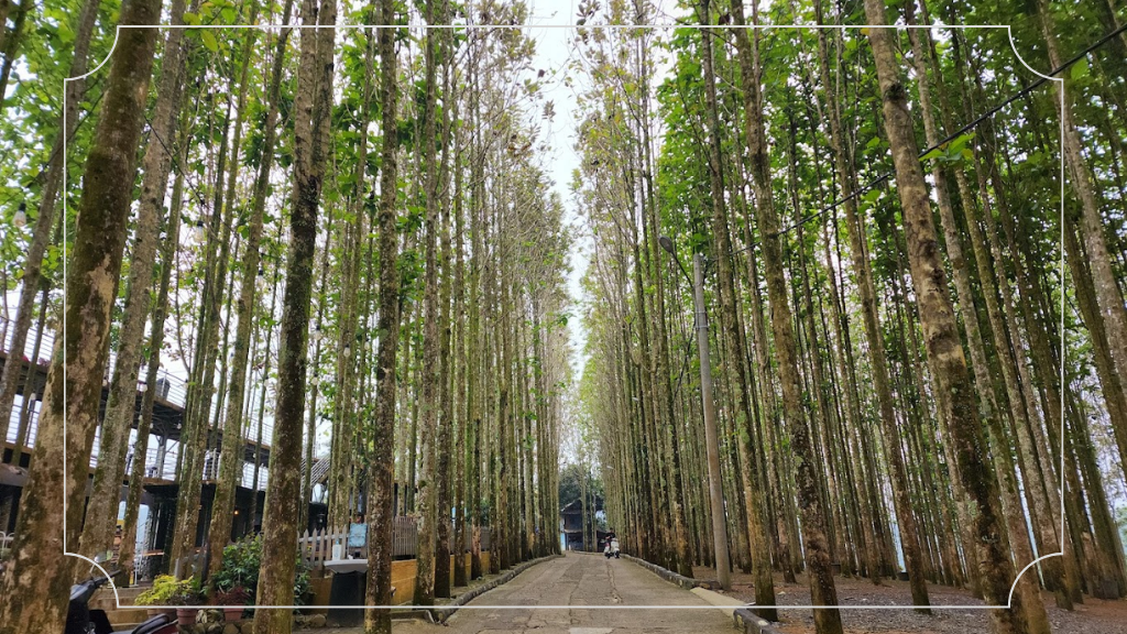 Taman Rimba Pancawati