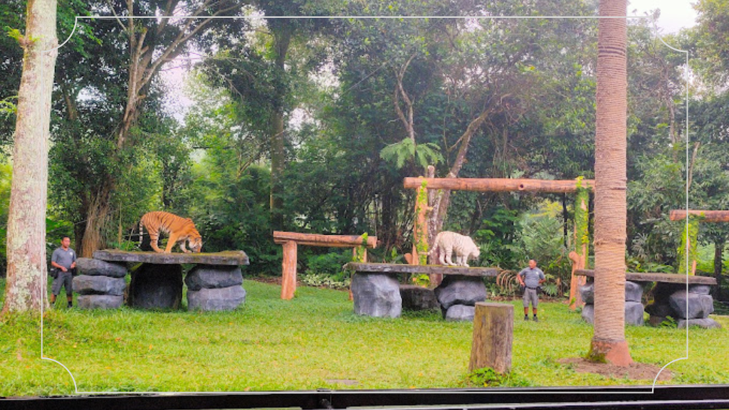 12 Tempat Liburan di Jawa Timur yang Terbaik Wajib di Kunjungi 3 Taman Safari Prigen