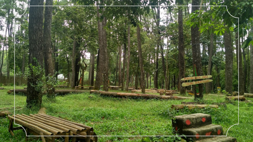 Jelajahi Tempat Liburan di Palembang Terpopuler 10 Taman Wisata Alam Punti Kayu