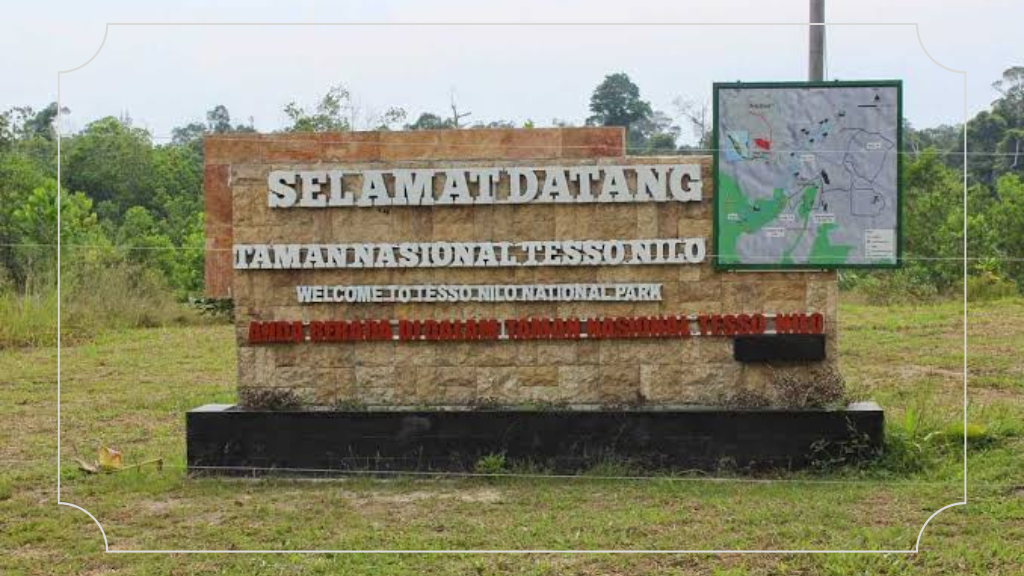 Tempat Main di Pekanbaru: Menjelajahi Wisata Kota Serambi Melayu 5 Taman Wisata Alam Tesso Nilo