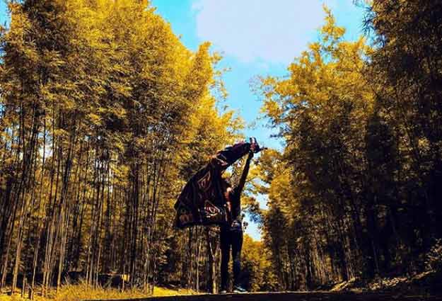 18 Tempat Wisata Di Ngawi Terbaru 7 tempat wisata alam di Ngawi