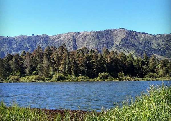 objek wisata di dieng terbaru