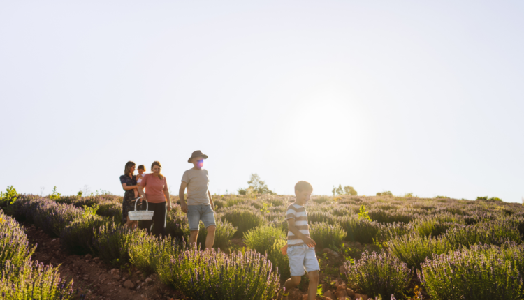 Tempat Gathering di Jogja yang Terbaik untuk Acara Penuh Kenangan